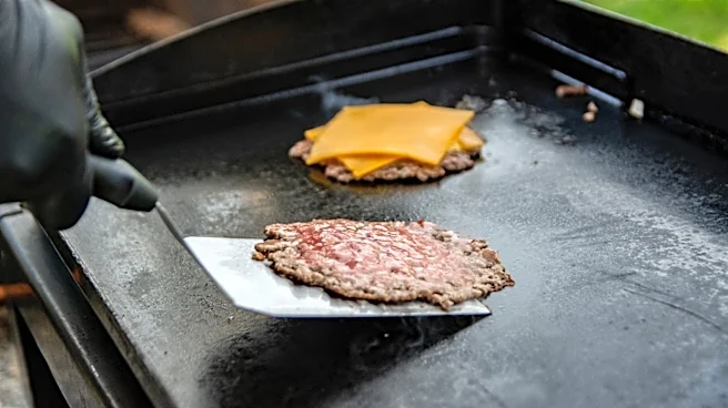 Consumer Reports Says This Is Its Highest-Rated Flat Top Grill Under $250