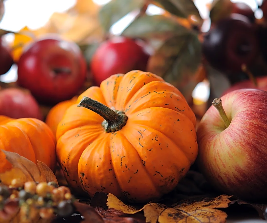 Fall Finds At Aldi That Deserve A Spot In The Store Year Round