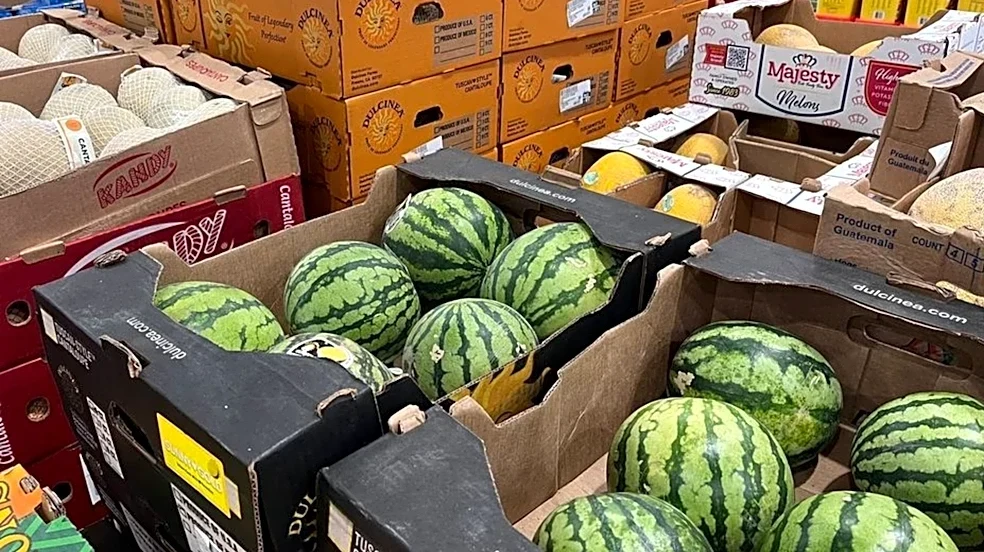Who Supplies Costco With Mini Watermelons?