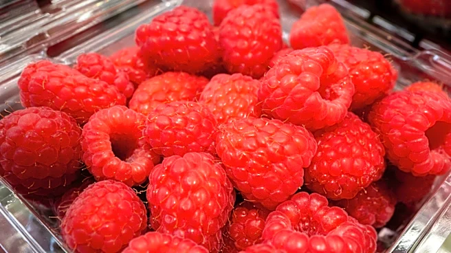 Who Supplies Costco's Fresh Raspberries?