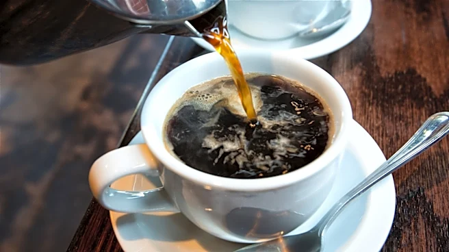 Glass Vs Thermal Carafe: Is The Latter Worth The Cost?