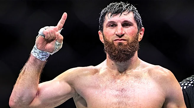 Ali Abdelaziz: Magomed Ankalaev vs. Paulo Costa 'needs to happen'