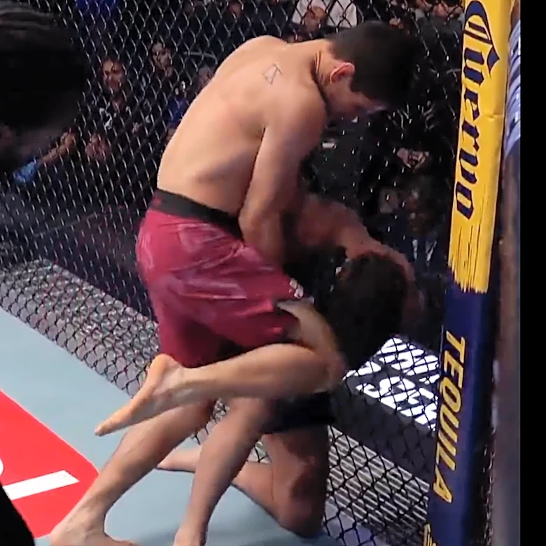 DWCS video: Controversial 32-second fight ends after commission deems blatant foul insignificant