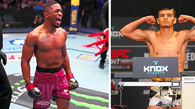 UFC 335 adds cracking flyweight fight