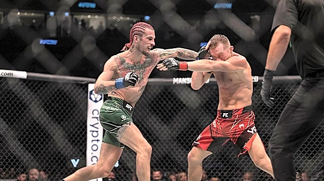Sean O'Malley's coach takes umbrage with Daniel Cormier 'pushing' Song Yadong title shot