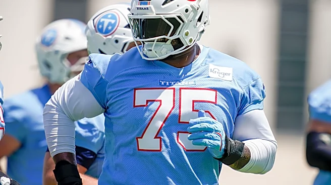 Why Jeffery Simmons was ejected from Titans practice after scuffle, punches thrown