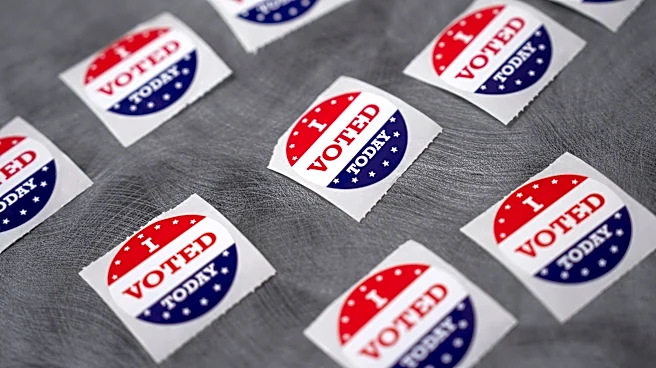 Davidson County races on Aug. 6 ballot are all but decided. Here's why