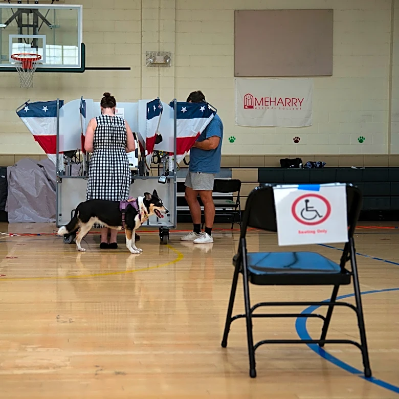 Tennesseans head to polls to vote in primary election: live updates