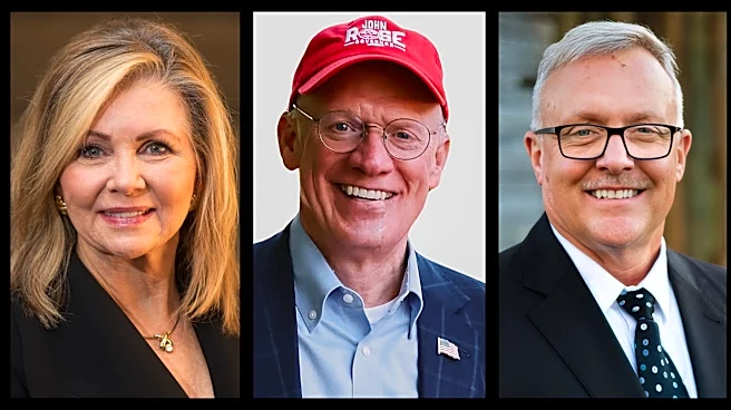 Tennessee governor primary election results, winners from each party