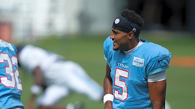 Elic Ayomanor injury update: What to know about Titans WR shoulder status