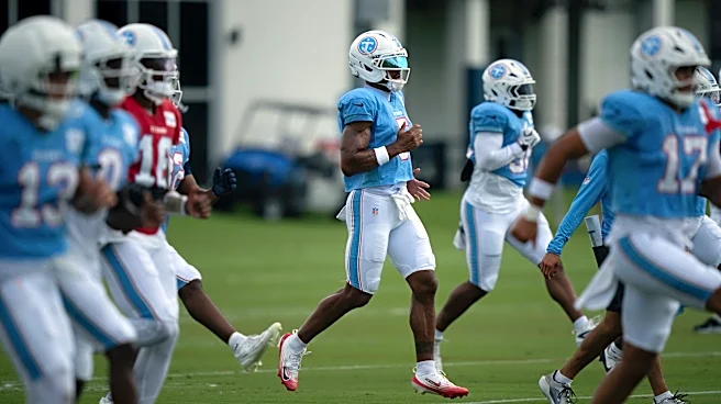 The Tennessee Titans still can't have nice things, can they? | Estes