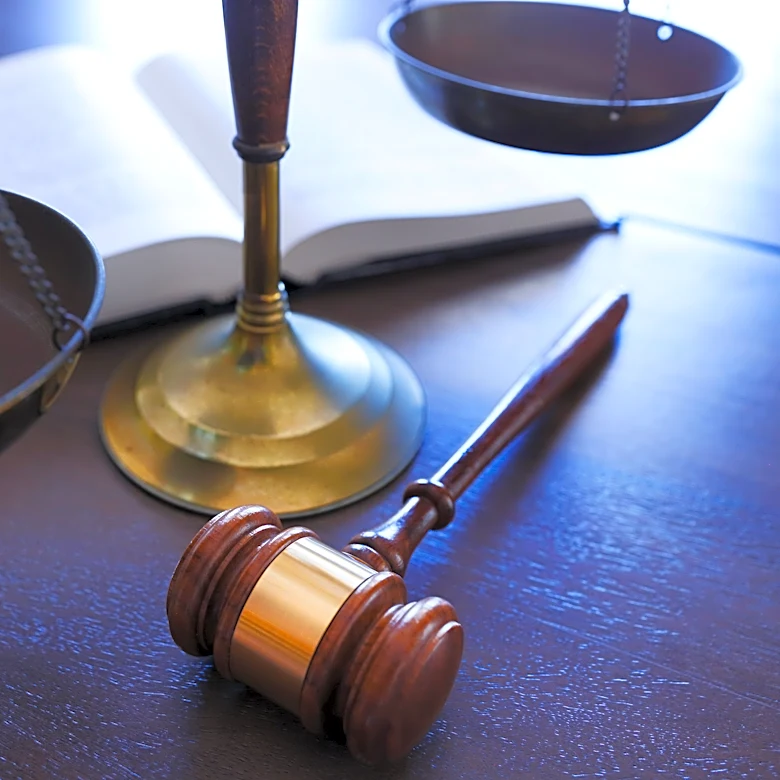 TN city accuses woman of "disrupting" government with records requests