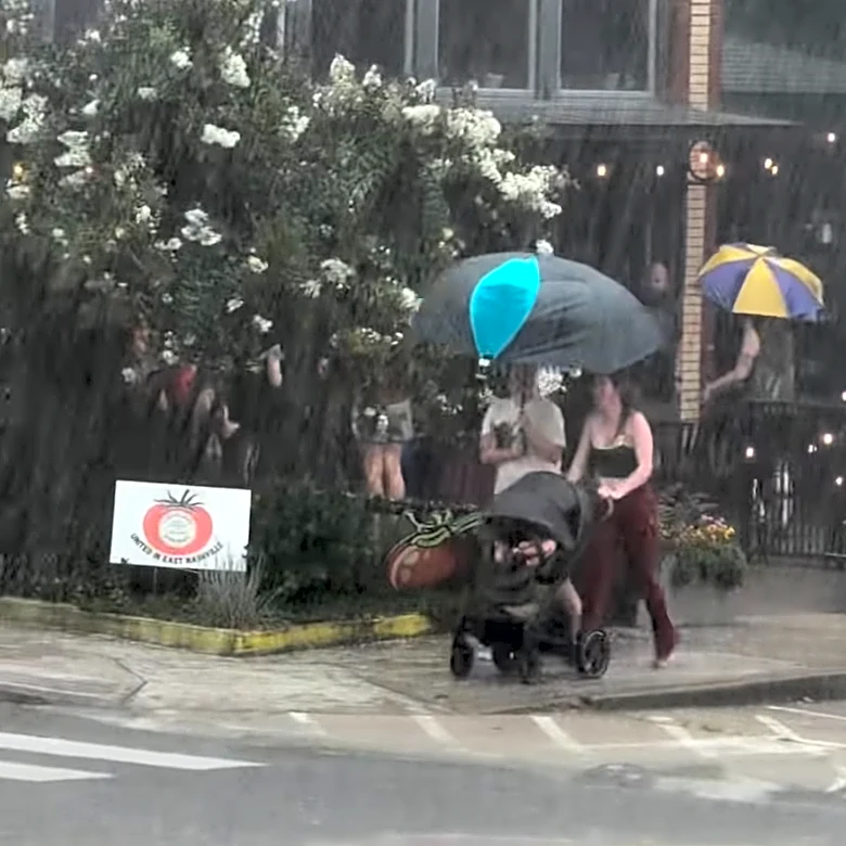 Tomato Art Festival stormed out, but thriving