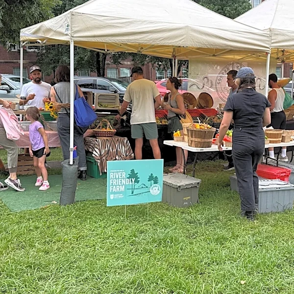 Nashville farmers markets see more traffic amid cyclosporiasis surge