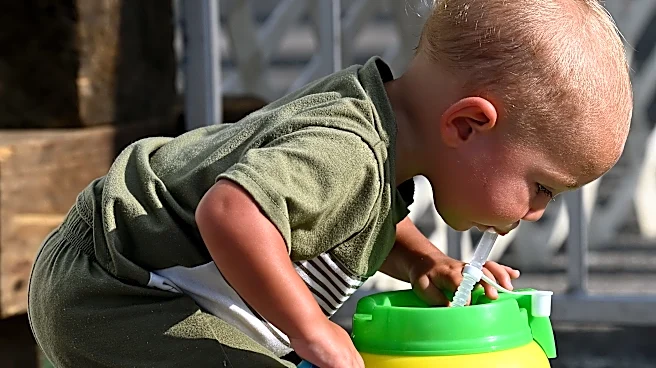 Wilson County – Tennessee Fair takes heat measures, schedule changes