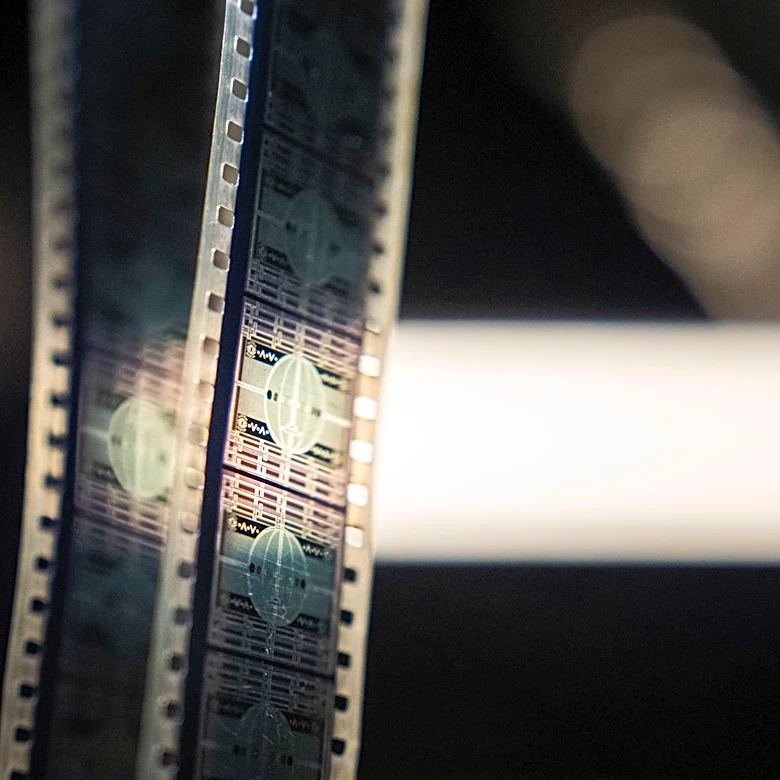 The Nashville Jewish Film Festival is happening through Sept. 9