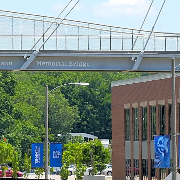 See the top 20 Tennessee colleges, according to Niche
