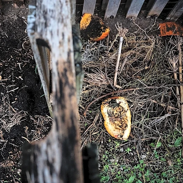 Why Nashville can't afford to ignore composting | Opinion