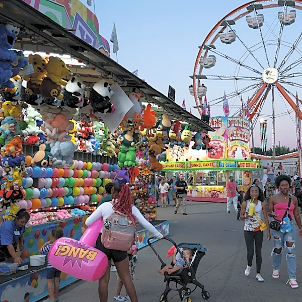 From pig races to funnel cakes, the Nashville Fair has you covered