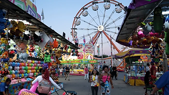 From pig races to funnel cakes, the Nashville Fair has you covered