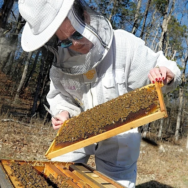 The buzz on honeybees in Tennessee? Here's the woman who keeps life sweet