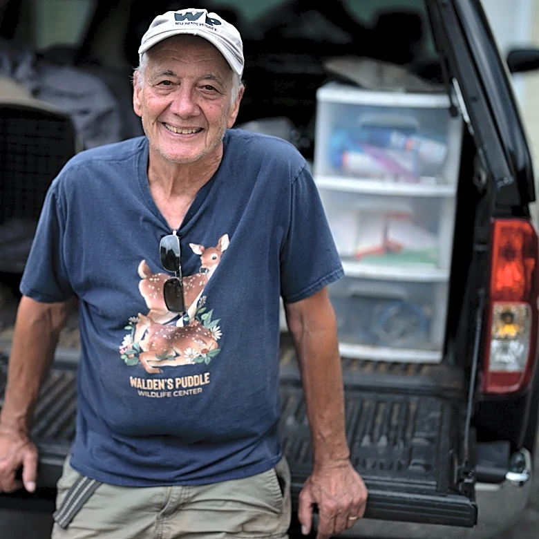 The fox whisperer? Meet the man saving Nashville’s sick foxes