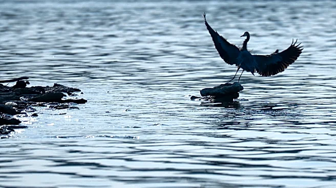 Nashville crews recovering body from Percy Priest Lake