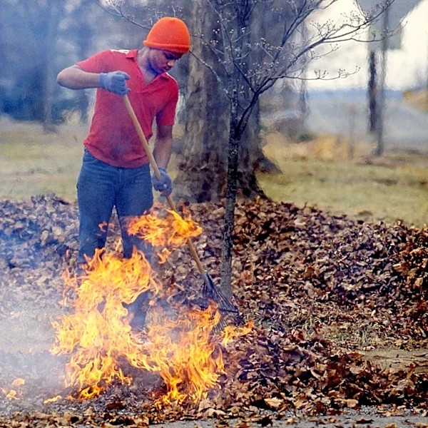 Is it legal to burn leaves in Nashville, Middle Tennessee?