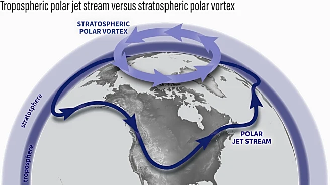 Winter 2026 could include a polar vortex, El Niño hit on Tennessee