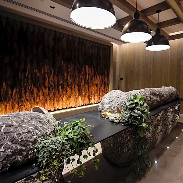 Nashville lands 2 hotels on TripAdvisor's best luxury list in the U.S.