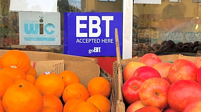 TN will pay $220M more for SNAP program next year; 90K lost benefits