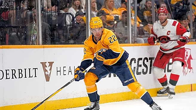 23 players made Predators' initial roster. We make a prediction for each one