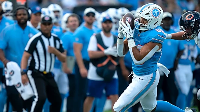 Titans vs Baltimore Ravens inactive players, see who isn’t playing