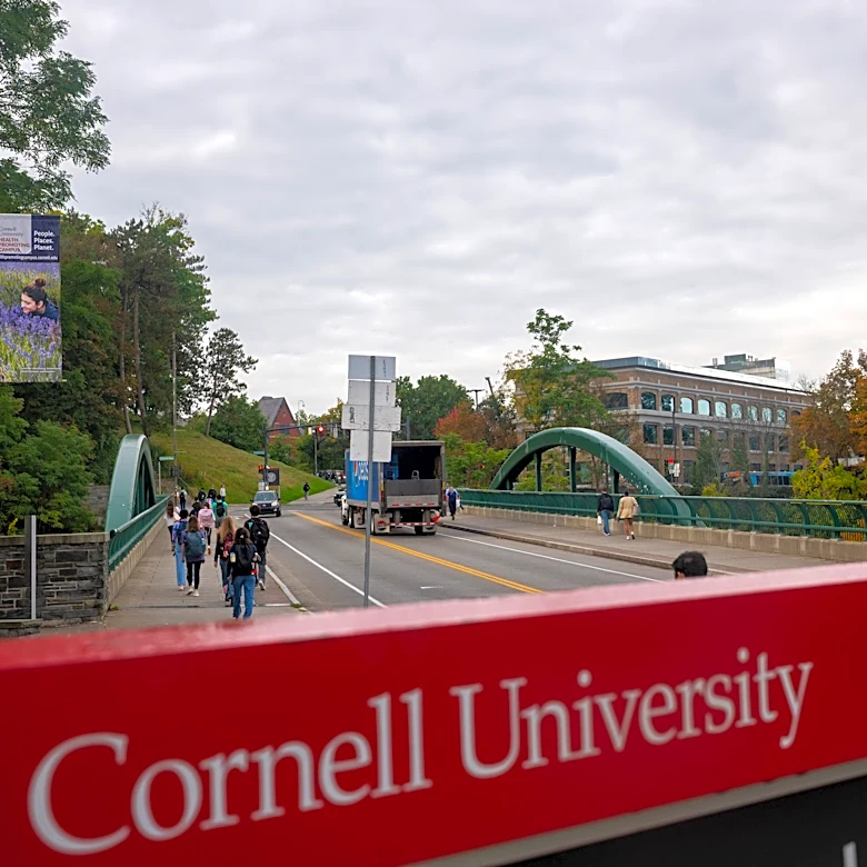 What Cornell case reveals about institutional oversight | Opinion