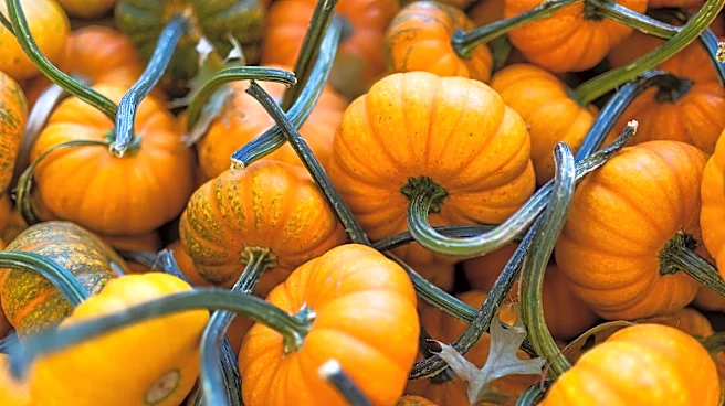 Top family-friendly, festive activities around Nashville this fall