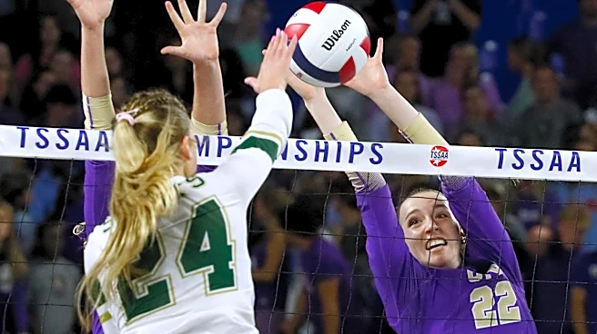 TSSAA volleyball Division II tournament brackets, schedules, scores