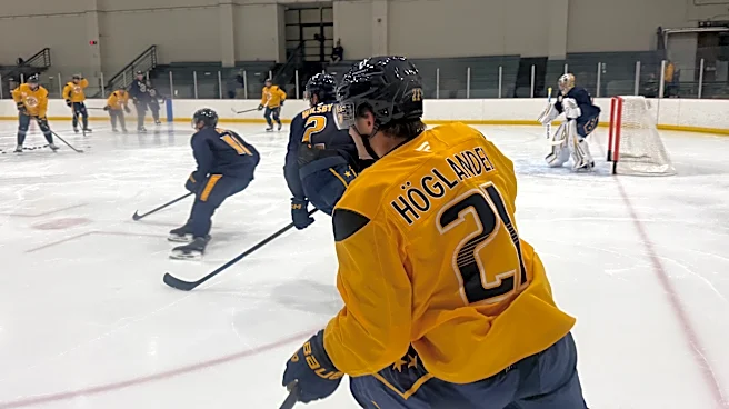 Navy helmets coming? Nashville Predators surprise with new look at practice