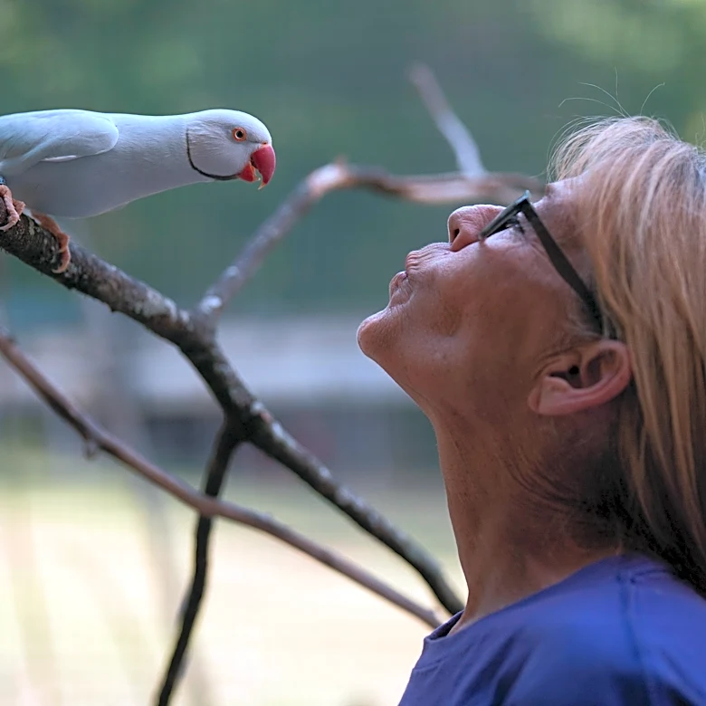 Inside the Hermitage sanctuary giving exotic birds a second chance