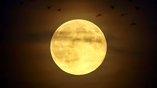 Is tonight a full moon? October's Hunter moon peaks this weekend