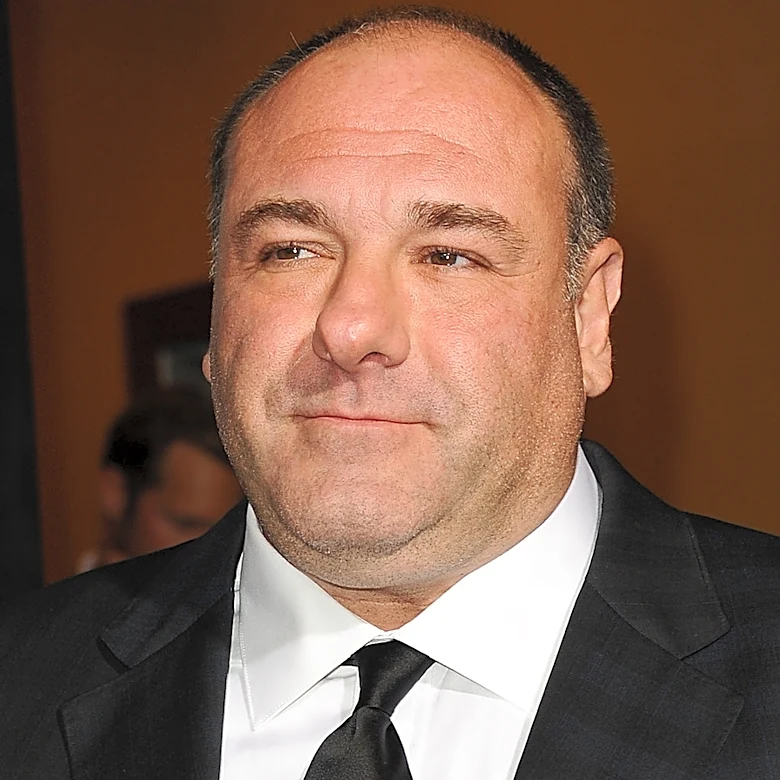 Here's Who Inherited James Gandolfini's Money After He Died