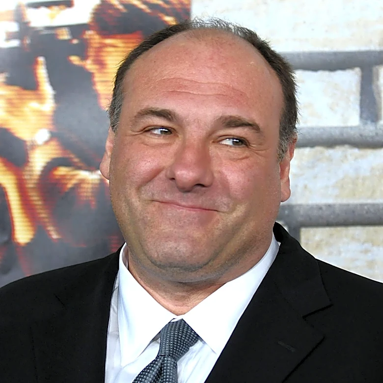 What Reports Say James Gandolfini's Final Year Of Life Was Like: 'We Were Concerned'