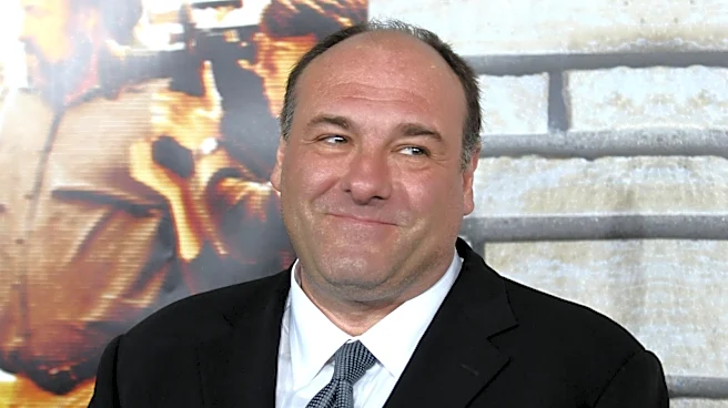 What Reports Say James Gandolfini's Final Year Of Life Was Like: 'We Were Concerned'