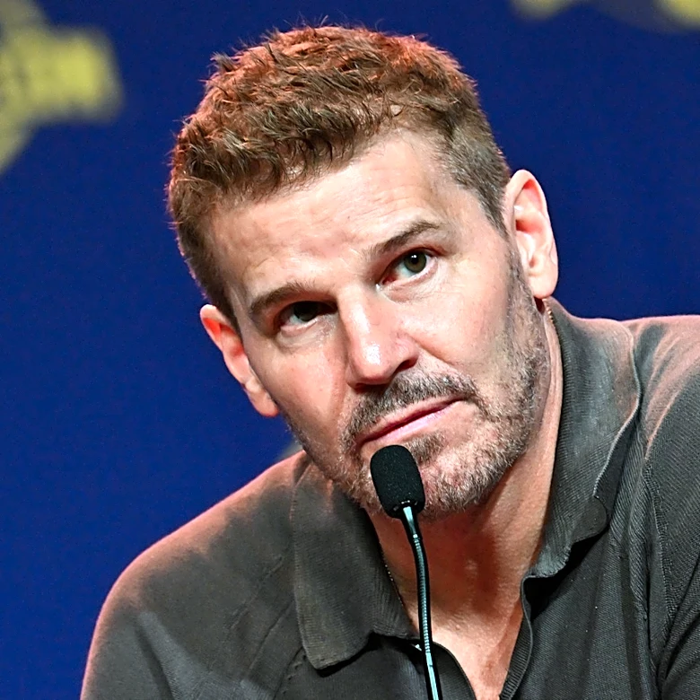 Fresh Start? David Boreanaz Made A Major Life Change After His Reported Mistress Spoke Out
