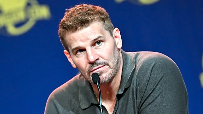 Fresh Start? David Boreanaz Made A Major Life Change After His Reported Mistress Spoke Out