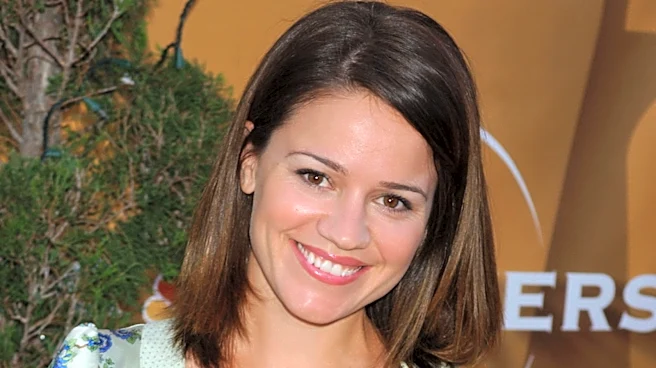 How CSI: NY Smoothed Over Anna Belknap's Real-Life Pregnancy On Screen