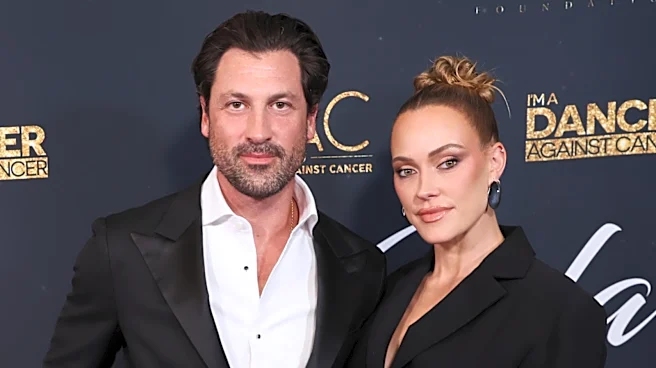 What These Former Dancing With The Stars Pros Are Doing Now