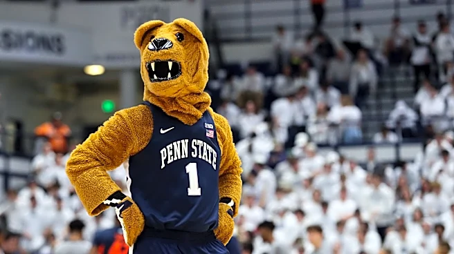 Penn State men's basketball player profile: Aleksandar Zecevic, F