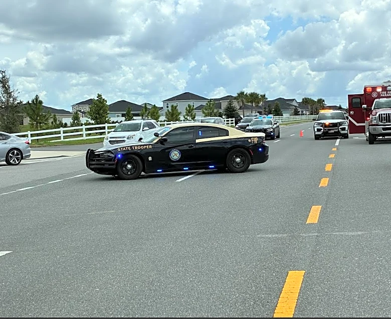 Pedestrian hit and killed near Belleview