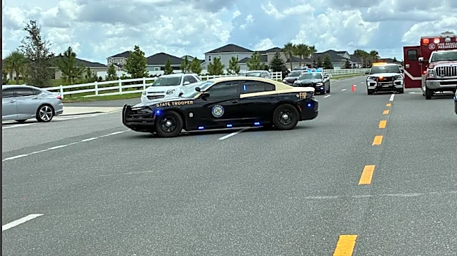 Pedestrian hit and killed near Belleview