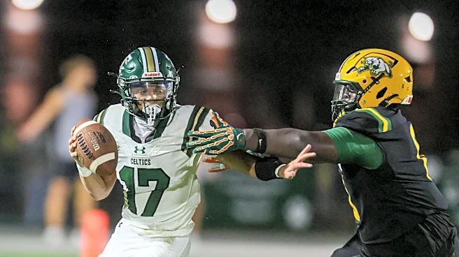 Vote for your pick as Ocala-area high school football midseason player of the year
